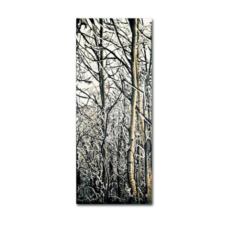 Trademark Fine Art Roderick Stevens 'Aspen Winter Panel 01' Canvas Art, 20x47 RS875A-C2047GG